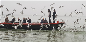 a1914a3daf403fa0db4931bdf9c0b51c_1742275041_882.png a1914a3daf403fa0db4931bdf9c0b51c_1742275041_882.png